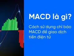^gI_灳