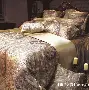 泅_c癁-n绸b^(绋冲鎺繘鑳芥簮缁胯壊浣庣杞瀷)